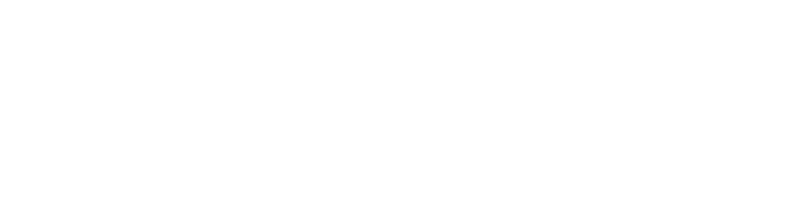 SV4 Hope Foundation                                 